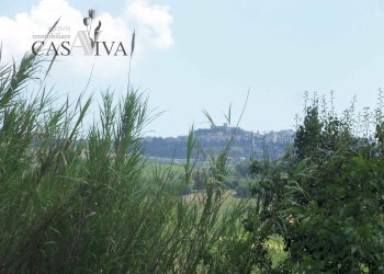 Foto 30 - Terreno agricolo Contrada Forola, Acquaviva Picena - foto 30