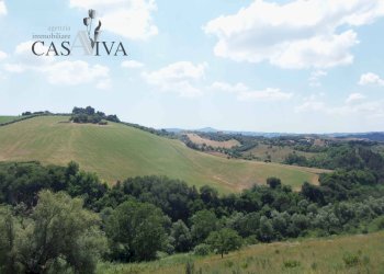 Foto 31 - Terreno agricolo Contrada Forola, Acquaviva Picena - foto 31