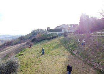 Foto 32 - Terreno agricolo Contrada Forola, Acquaviva Picena - foto 32