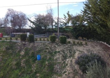 Foto 33 - Terreno agricolo Contrada Forola, Acquaviva Picena - foto 33