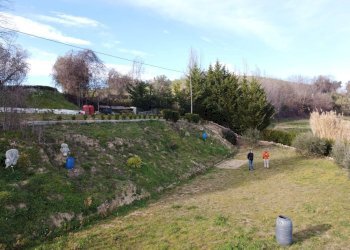 Foto 34 - Terreno agricolo Contrada Forola, Acquaviva Picena - foto 34