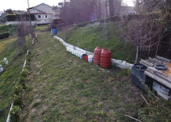 Foto 35 - Terreno agricolo Contrada Forola, Acquaviva Picena - foto 35