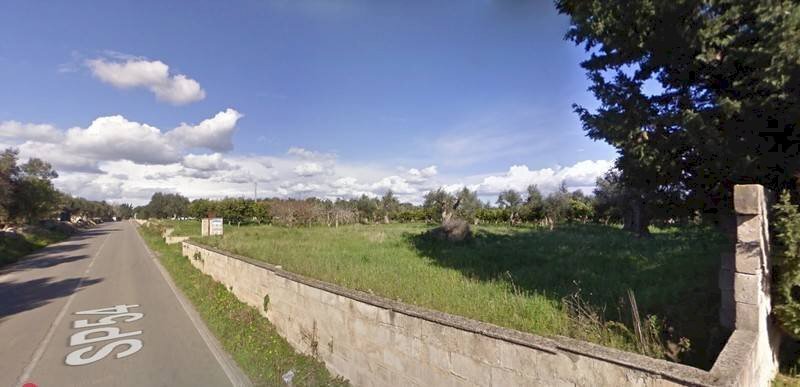 Foto 1 - Terreno agricolo SP 54, Alezio - foto 1