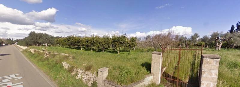 Foto 2 - Terreno agricolo SP 54, Alezio - foto 2