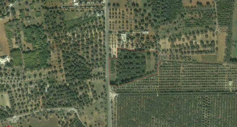 Foto 3 - Terreno agricolo SP 54, Alezio - foto 3