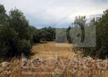 Foto 1 - Agricultural land via Lecce, Gallipoli - photo 1