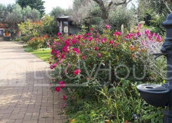 Foto 6 - Hotel Contrada Fiusco, Neviano - foto 6