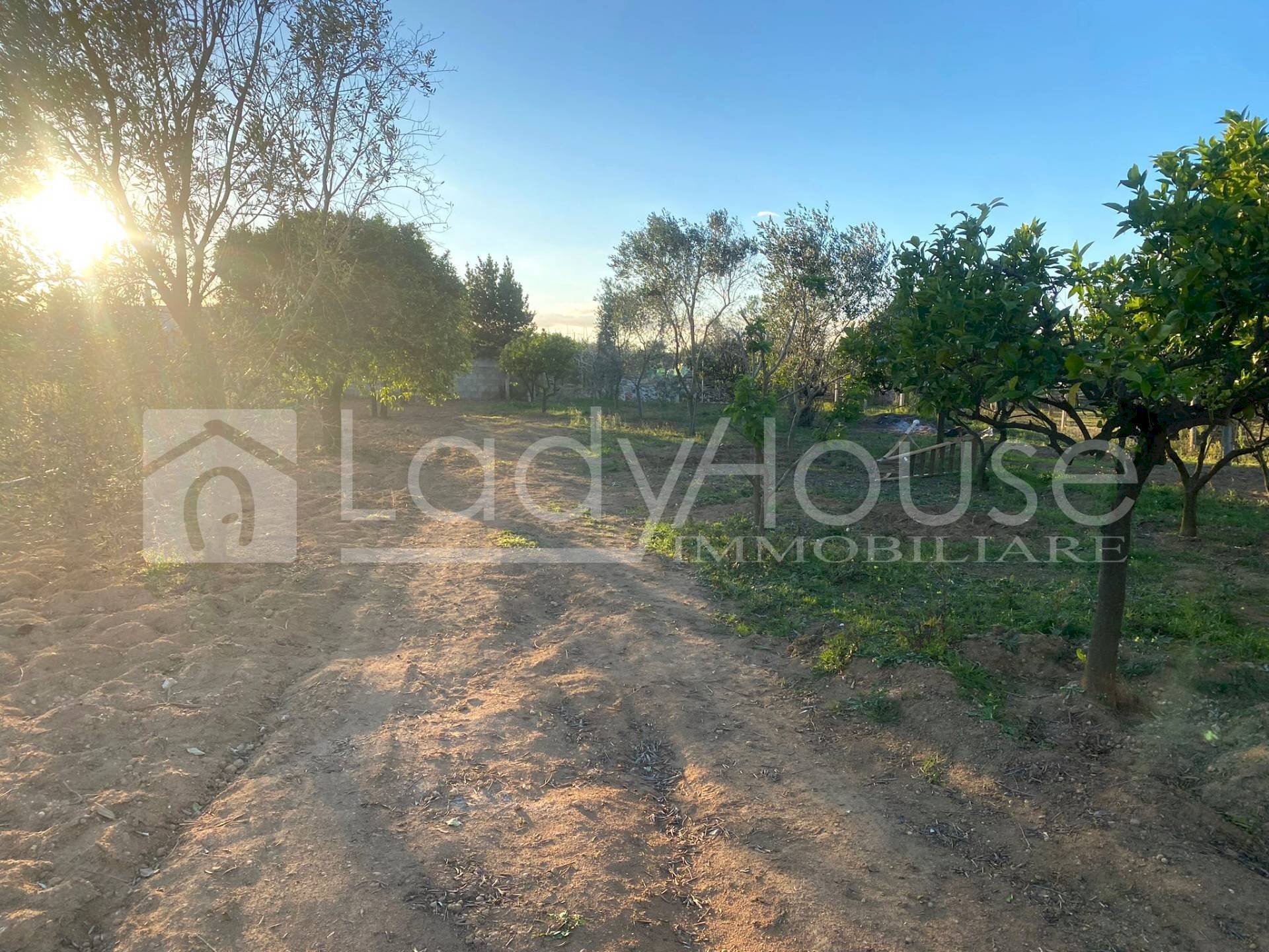 Foto 1 - Terreno agricolo Contrada Nanni, Alezio - foto 1