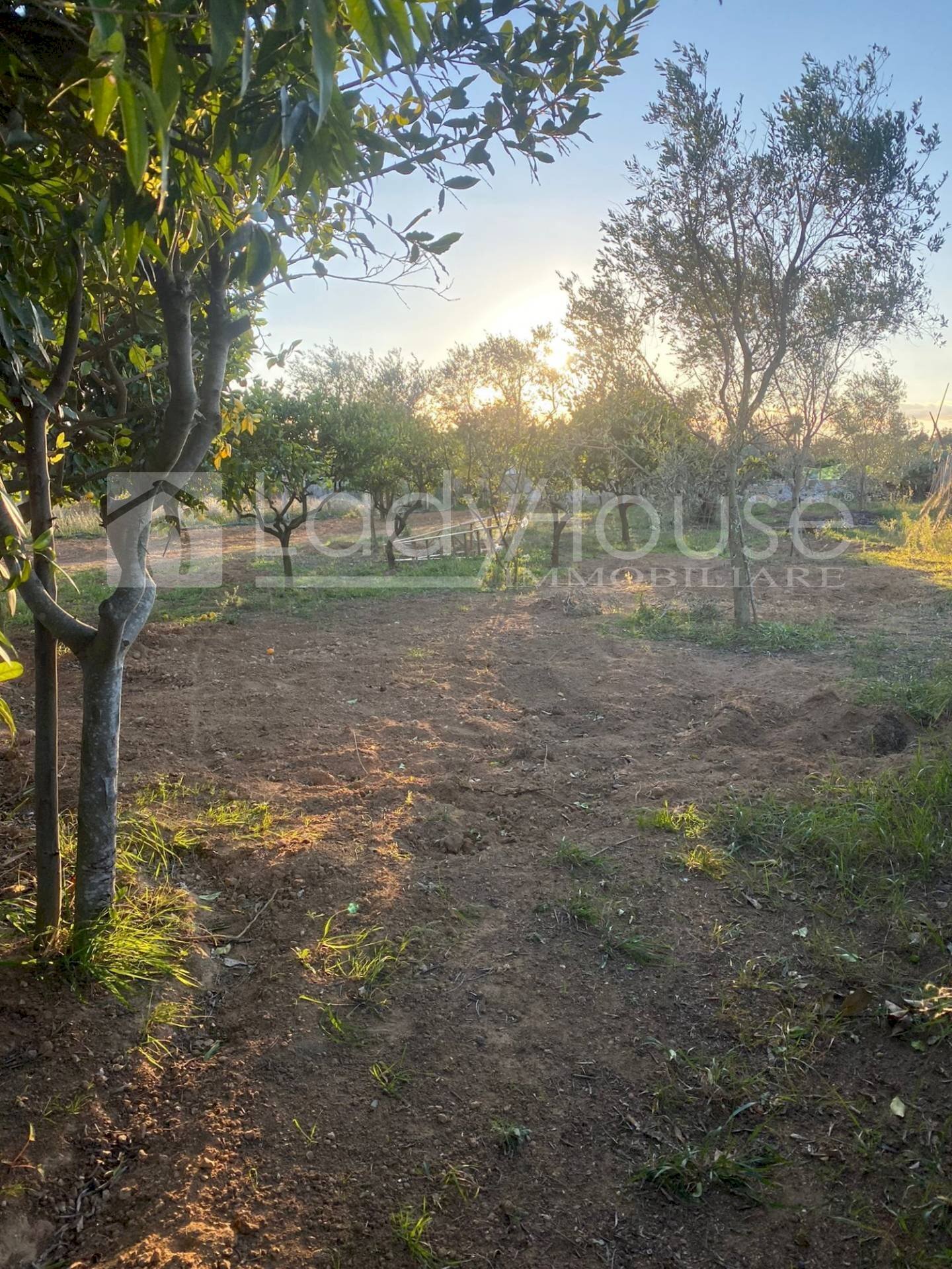 Foto 2 - Terreno agricolo Contrada Nanni, Alezio - foto 2