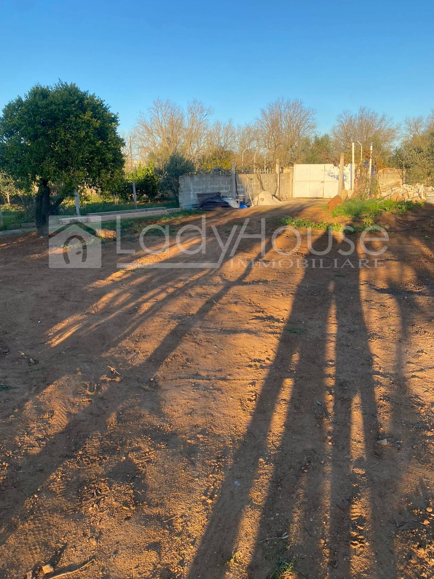 Foto 3 - Terreno agricolo Contrada Nanni, Alezio - foto 3