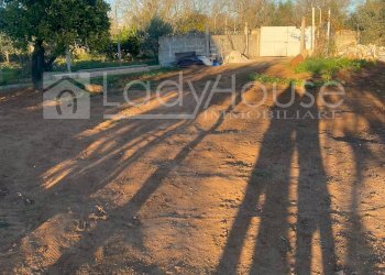 Foto 3 - Terreno agricolo Contrada Nanni, Alezio - foto 3