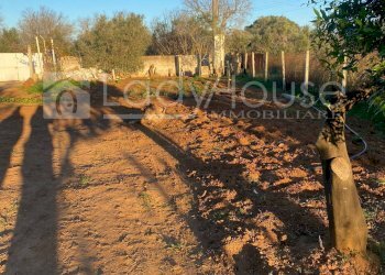 Foto 4 - Terreno agricolo Contrada Nanni, Alezio - foto 4