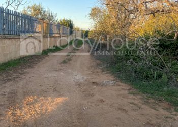 Foto 5 - Terreno agricolo Contrada Nanni, Alezio - foto 5