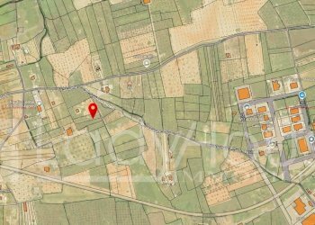 Foto 6 - Terreno agricolo Contrada Nanni, Alezio - foto 6