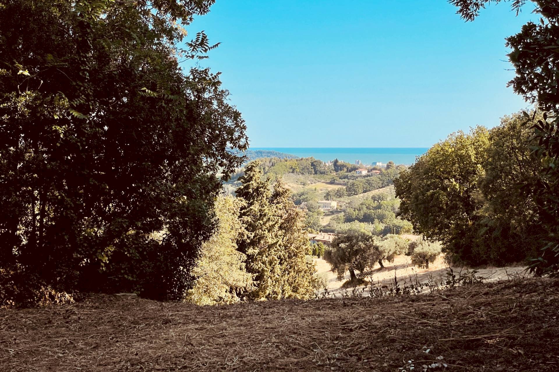 Foto 3 - Rustico Strada Di San Rocco
 
2, Pesaro - foto 3