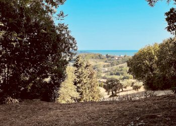 Foto 3 - Rustico Strada Di San Rocco
 
2, Pesaro - foto 3