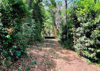 Foto 5 - Rustico Strada Di San Rocco
 
2, Pesaro - foto 5