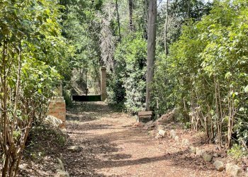 Foto 7 - Rustico Strada Di San Rocco
 
2, Pesaro - foto 7