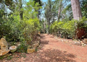 Foto 9 - Rustico Strada Di San Rocco
 
2, Pesaro - foto 9