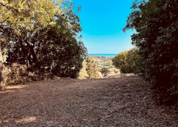 Foto 19 - Rustico Strada Di San Rocco
 
2, Pesaro - foto 19