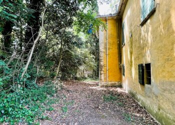 Foto 22 - Rustico Strada Di San Rocco
 
2, Pesaro - foto 22