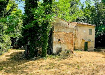 Foto 12 - Rustico Strada Di San Rocco
 
2, Pesaro - foto 12