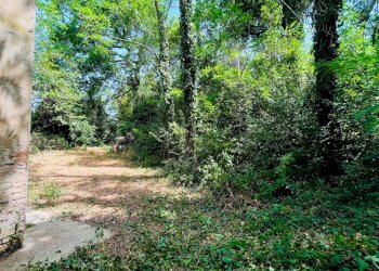 Foto 13 - Rustico Strada Di San Rocco
 
2, Pesaro - foto 13