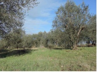 Foto 9 - Terreno edificabile via Zanella
 
30, Truccazzano - foto 9