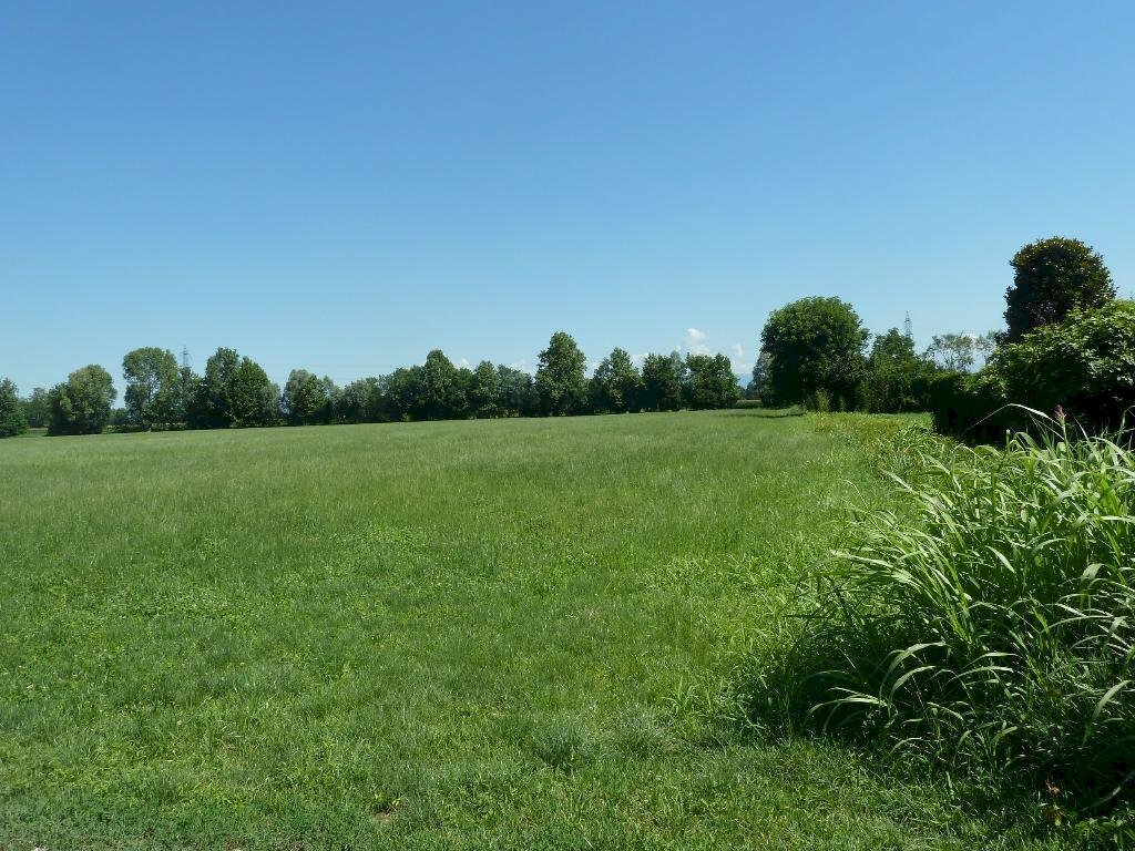 Foto 2 - Agricultural land Cascina Cantona, Gorgonzola - photo 2