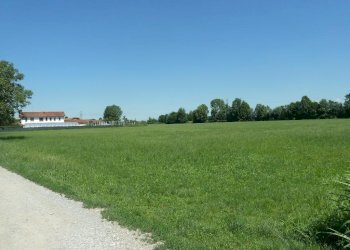 Foto 1 - Terreno agricolo Cascina Cantona, Gorgonzola - foto 1