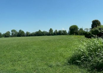 Foto 2 - Terreno agricolo Cascina Cantona, Gorgonzola - foto 2