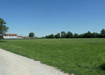 Foto 3 - Terreno agricolo Cascina Cantona, Gorgonzola - foto 3