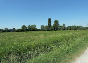 Foto 4 - Terreno agricolo Cascina Cantona, Gorgonzola - foto 4