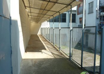 Foto 12 - Capannone Via Martiri della Libertà
 
11, Liscate - foto 12