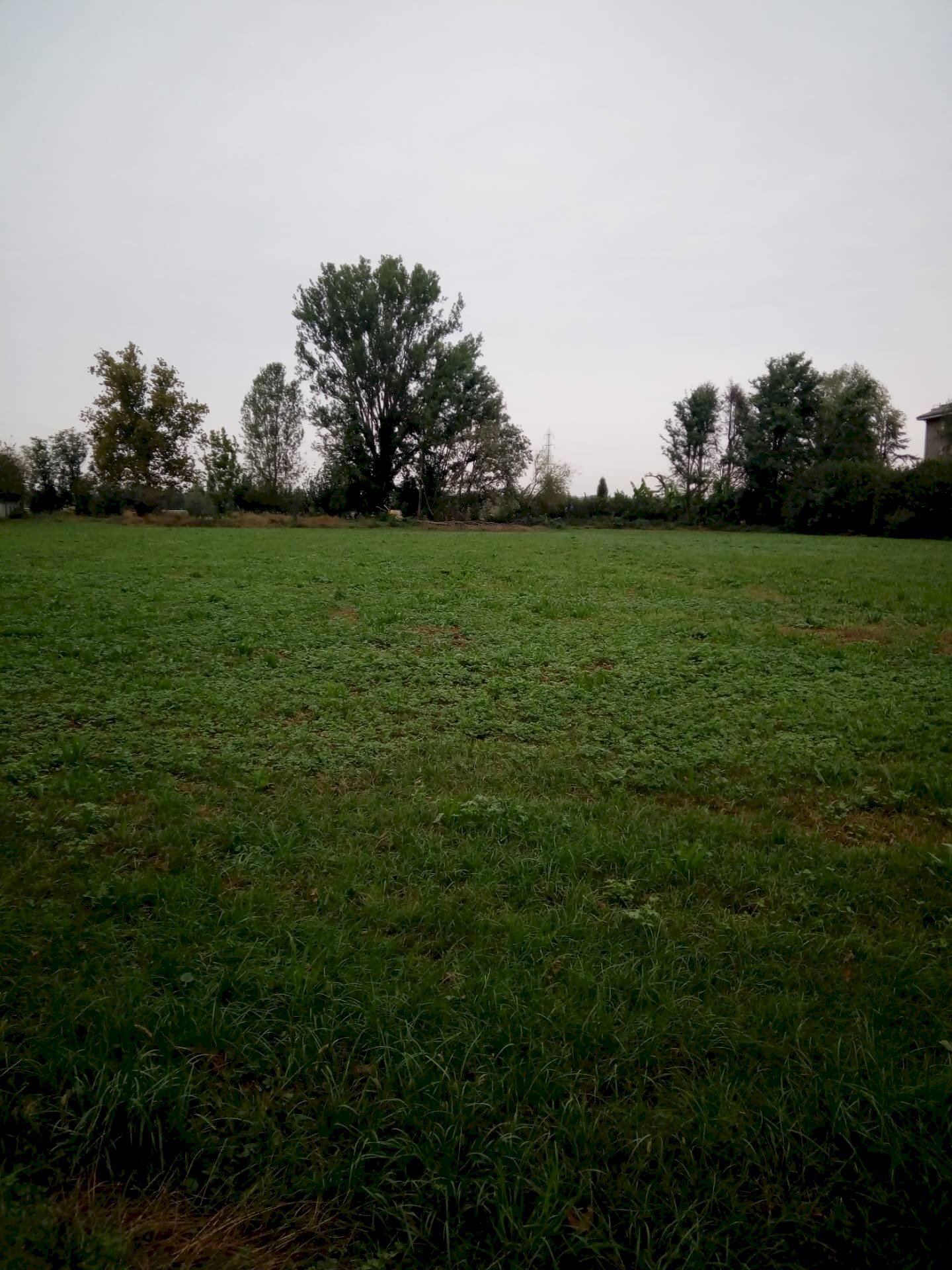 Foto 1 - Agricultural land Viale Gavazzi, Melzo - photo 1