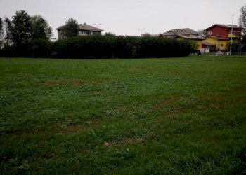 Foto 2 - Terreno agricolo Viale Gavazzi, Melzo - foto 2