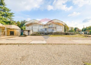 Casa all\'aperto - Azienda agricola via novara
 
225, Legnano - foto 3