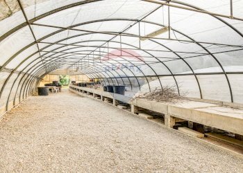 Edificio all\'aperto - Azienda agricola via novara
 
225, Legnano - foto 9