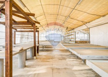 Scale - Azienda agricola via novara
 
225, Legnano - foto 11