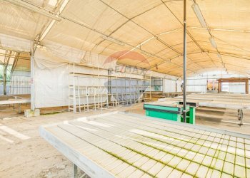 Terrazza - Azienda agricola via novara
 
225, Legnano - foto 12