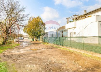 Giardino - Azienda agricola via novara
 
225, Legnano - foto 13