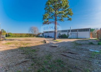 Giardino - Capannone CONFALONIERI
 
63, Cassano Magnago - foto 41