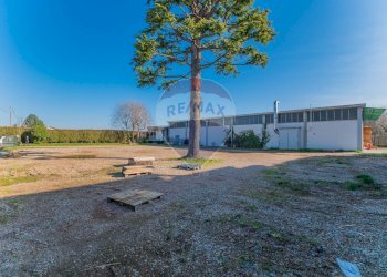 Giardino - Capannone CONFALONIERI
 
63, Cassano Magnago - foto 42