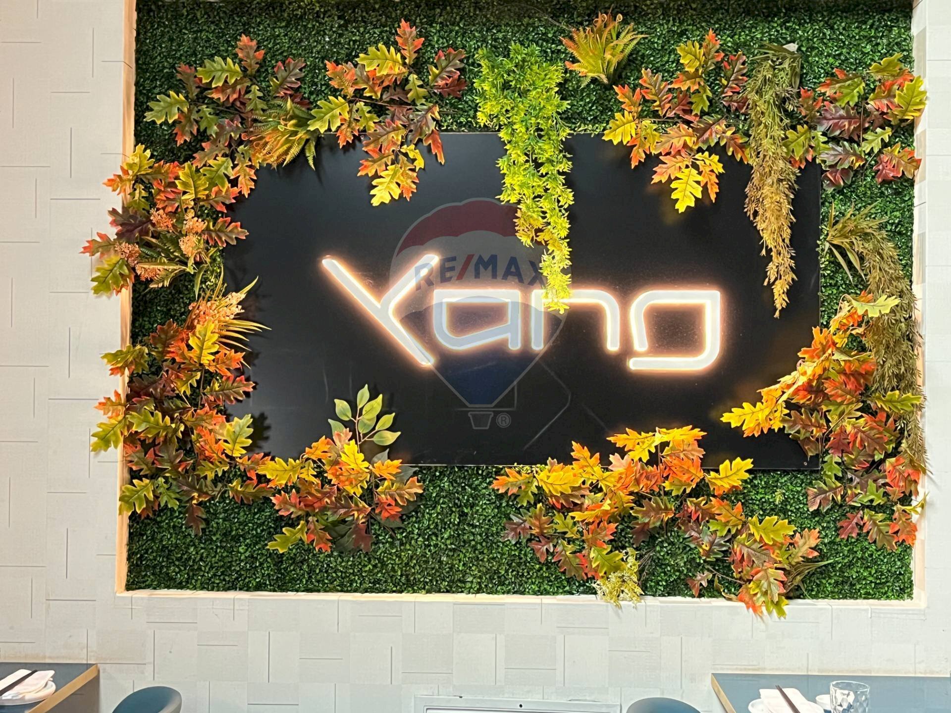 Dettagli - Commercial Premises via Manzoni
 
13, Gallarate - photo 3