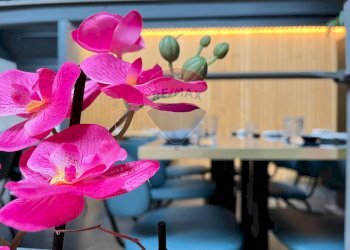 Dettagli - Locale Commerciale via Manzoni
 
13, Gallarate - foto 8