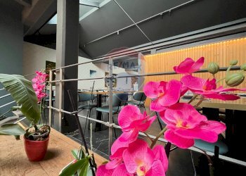 Dettagli - Locale Commerciale via Manzoni
 
13, Gallarate - foto 9