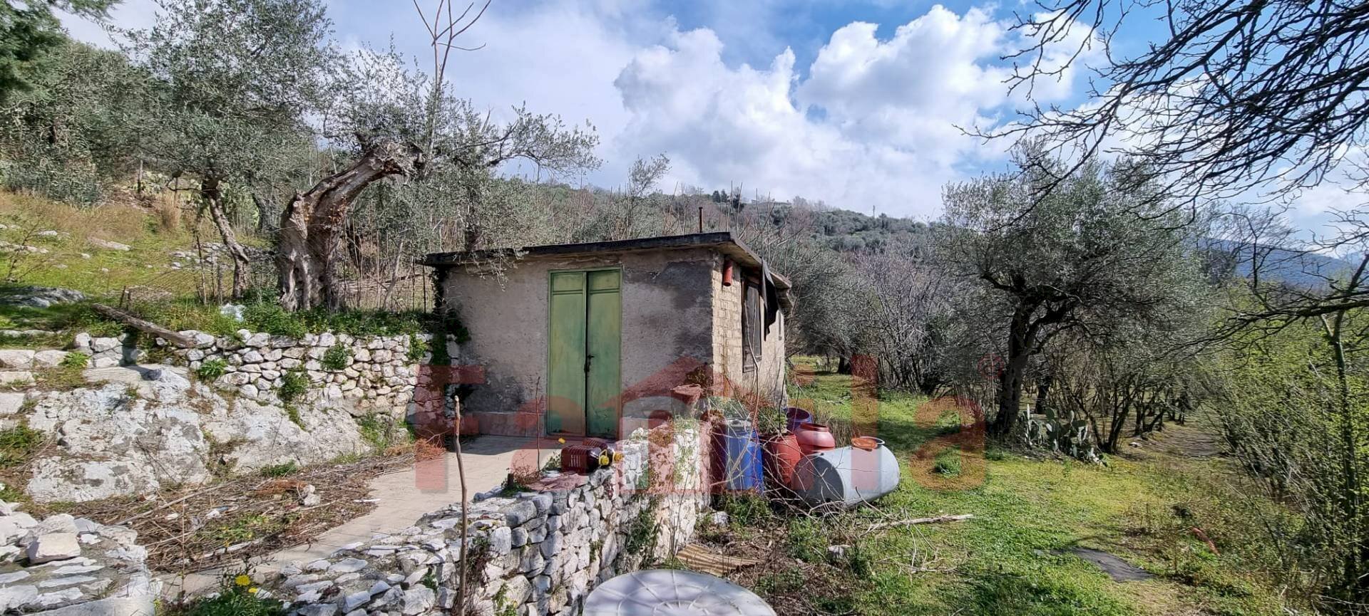 Foto 1 - Terreno agricolo Mugnano del Cardinale - foto 1