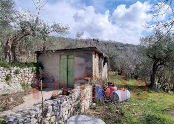 Foto 1 - Terreno agricolo Mugnano del Cardinale - foto 1