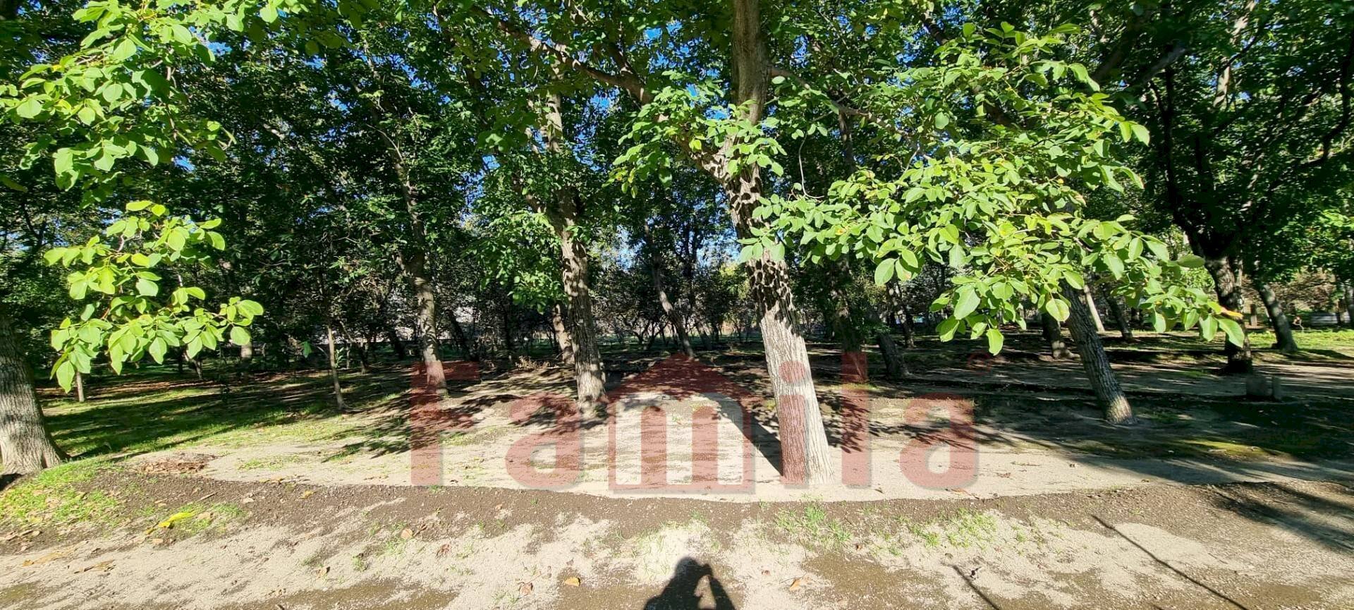 Foto 1 - Terreno agricolo Avella - foto 1