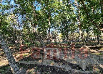 Foto 4 - Terreno agricolo Avella - foto 4